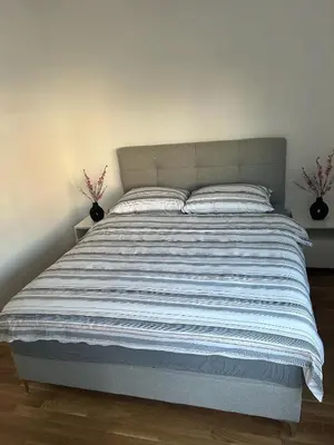 a large bed in a bedroom with two plants at Apartmani Kastel 1 in Banja Luka