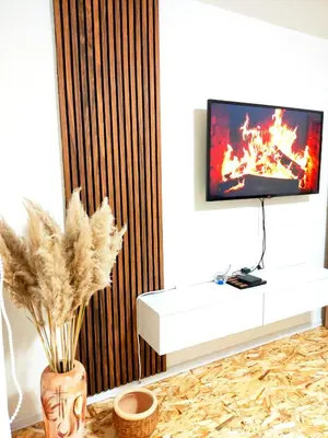 a living room with a tv and a vase with feathers at Apartman Duric in Tuzla