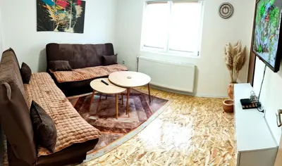 a living room with a couch and a table at Apartman Duric in Tuzla