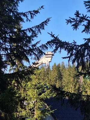 a building on top of a hill with trees at Viktory in Vlasic