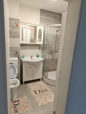a bathroom with a shower toilet and a sink at Apartman Ella in Bosanska Krupa
