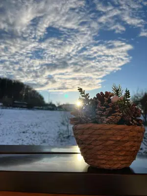 a basket of pineapples sitting on a window sill at La Simba2 in Banja Luka