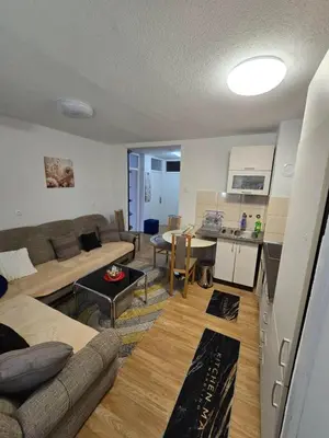 a living room with a couch and a table at Apartman Lea in Železnička Stanica Incel