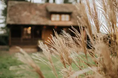 a house in the background with tall grass in the foreground at Koliba Brezova šuma in Čović Polje