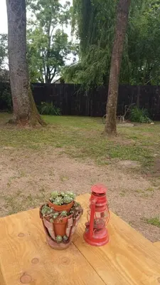 a table with a flower pot and a red blender at Koliba Brezova šuma in Čović Polje