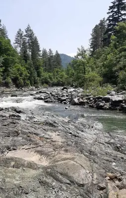 a river with rocks and trees in the background at Vikendica Šehić in Zavidovići