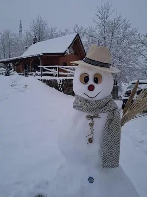 a snowman wearing a hat and a scarf at Kuca za odmor in Vitez