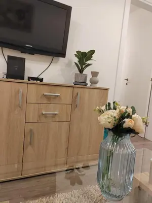 a vase with flowers in front of a tv at Stan na dan Modriča in Modriča