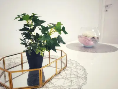 a plant in a vase sitting on a table at Apartman Luxe in Livno