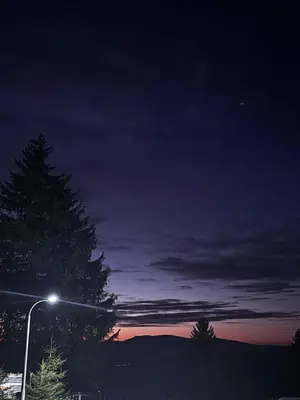 a street light in front of a tree at night at Sweet Home Vlasic in Vlasic