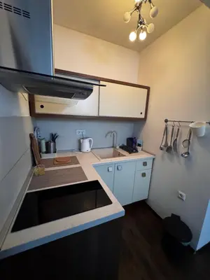 a small kitchen with a sink and a counter top at Sweet Home Vlasic in Vlasic