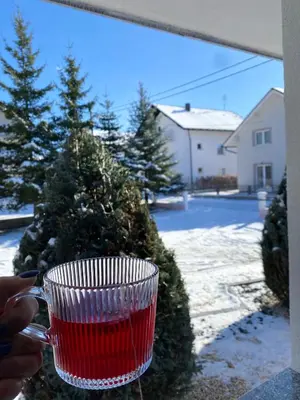 a person holding a red wine glass in front of a christmas tree at Apartmani Biser Kupresa 1 in Kupres