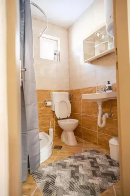 a small bathroom with a toilet and a sink at Apartman Biser Kupresa 3 in Kupres