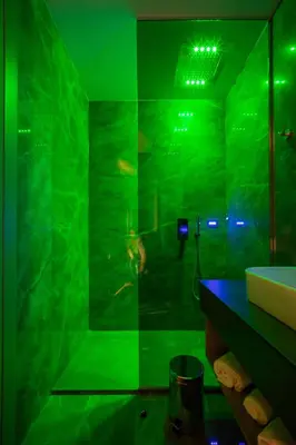 a green bathroom with a shower and a sink at Luxury Apartments Palata - Stan Infinity in Banja Luka