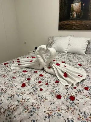 a white swan laying on a bed with red roses at Stan na dan Trn Laktasi Apartman Andrea in Trn