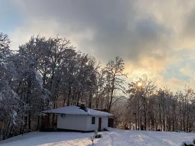 a small white house in the snow with trees at Vikendica Šššuma in Srbac