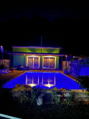 a swimming pool in front of a house at night at Holiday cottage-vikendica in Donji Podovi