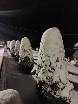 a row of bushes covered in snow on a bench at Apartman Vidikovac in Kupres