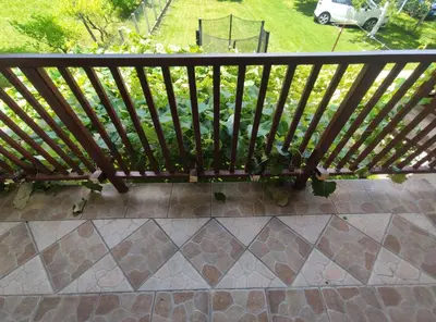 a wooden bench sitting on a patio with a yard at Šumska Oaza in Laktaši