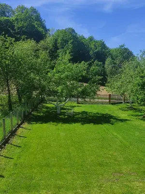 a green yard with a fence and a tree at Šumska Oaza in Laktaši