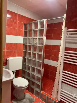 a bathroom with a toilet and a shower at Dragon's Lodge in Visoko