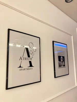 two framed pictures hanging on a wall at Apartman Atrium Banja Luka in Banja Luka