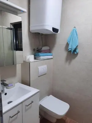 a bathroom with a white toilet and a sink at Holiday home Alexa in Banja Luka