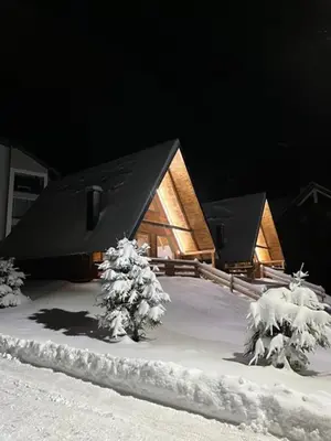 a house in the snow with trees in front of it at Planinska kuća Rea, Vlašić in Vlasic