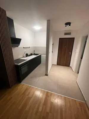 a kitchen with a sink and a wooden door at Apartman MINI in Doboj