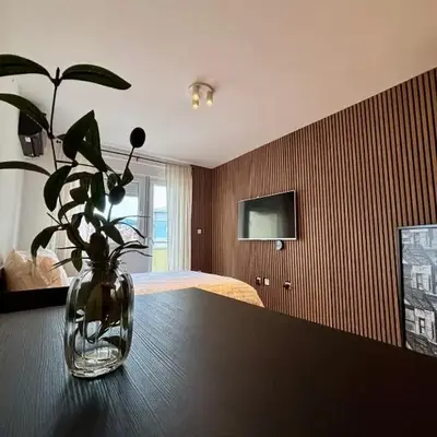 Apartman MINI