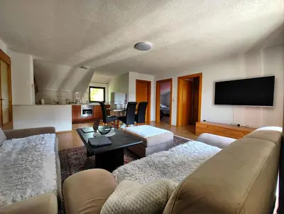 a living room with a couch and a tv at Apartment Residence House in Bihać