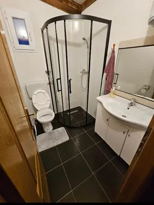 a bathroom with a shower and a toilet and a sink at blanca 6 in Nova Bila