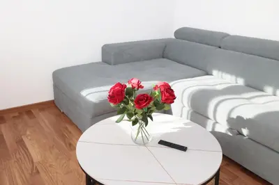a vase of roses sitting on a table in front of a couch at Apartman Dentalux 3 in Banja Luka
