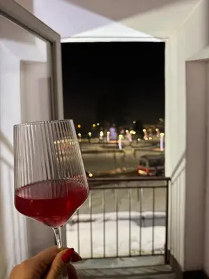 a person holding a glass of wine in front of a window at Apartman Iris in Banja Luka