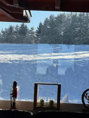 a glass window with a figurine in front of a snow covered field at Planinska kuća Ema in Kupres