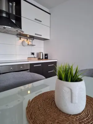 a kitchen with a table with a vase with plants on it at Apartman MAX sa privatnim parkingom in Banja Luka