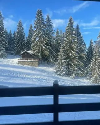a view of a snow covered forest with a house at Apartman Vlašić Eko Fis 508 in Šišava