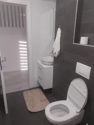 a bathroom with a toilet and a sink at Stan na dan in Žepče