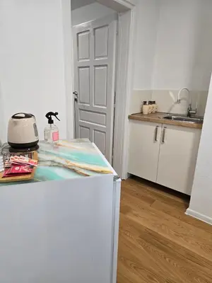 a kitchen with a counter and a appliance on a refrigerator at Plavi most in Tuzla