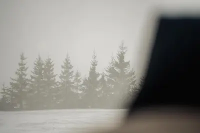 a view of a group of pine trees in the fog at Container House Kod Čupe in Kupres