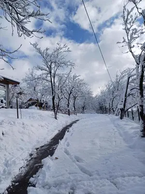 a road covered in snow with trees in the background at Vikendica Kozlovac in Tuzla