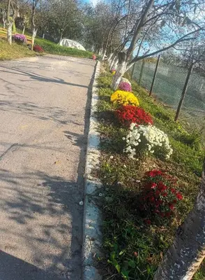 a street with flowers on the side of the road at Vikendica Kozlovac in Tuzla