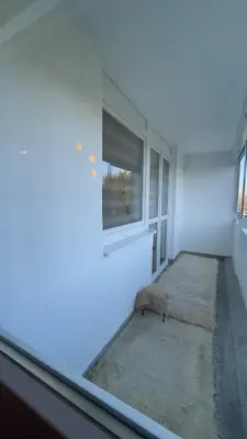 a room with a dog laying on the floor next to a window at HomeSpot Banja Luka in Banja Luka