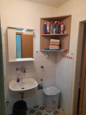 a small bathroom with a sink and a toilet at Palma Apartman in Tuzla