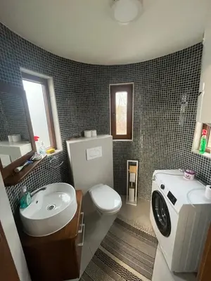a bathroom with a toilet a sink and a washing machine at Una, Home on river bank in Spilja