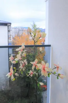 a bunch of pink flowers in a window at Fancy new 2bdrm ap free garage in Banja Luka
