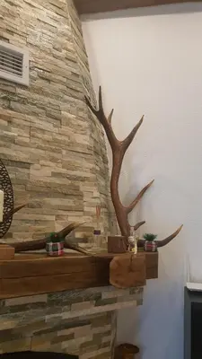 a stone wall with a fake tree on it at Forest house ALEKSANDAR in Srbac