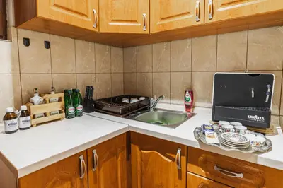 a kitchen with a sink and a counter top at The Hide Aside in Plješevica