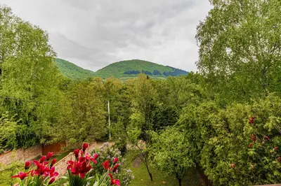 a garden with trees and mountains in the background at The Hide Aside in Plješevica