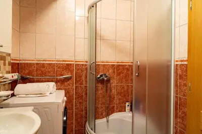 a bathroom with a shower and a toilet and a sink at Gradina Stan na Dan in Doboj